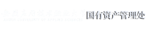 安应大国资处